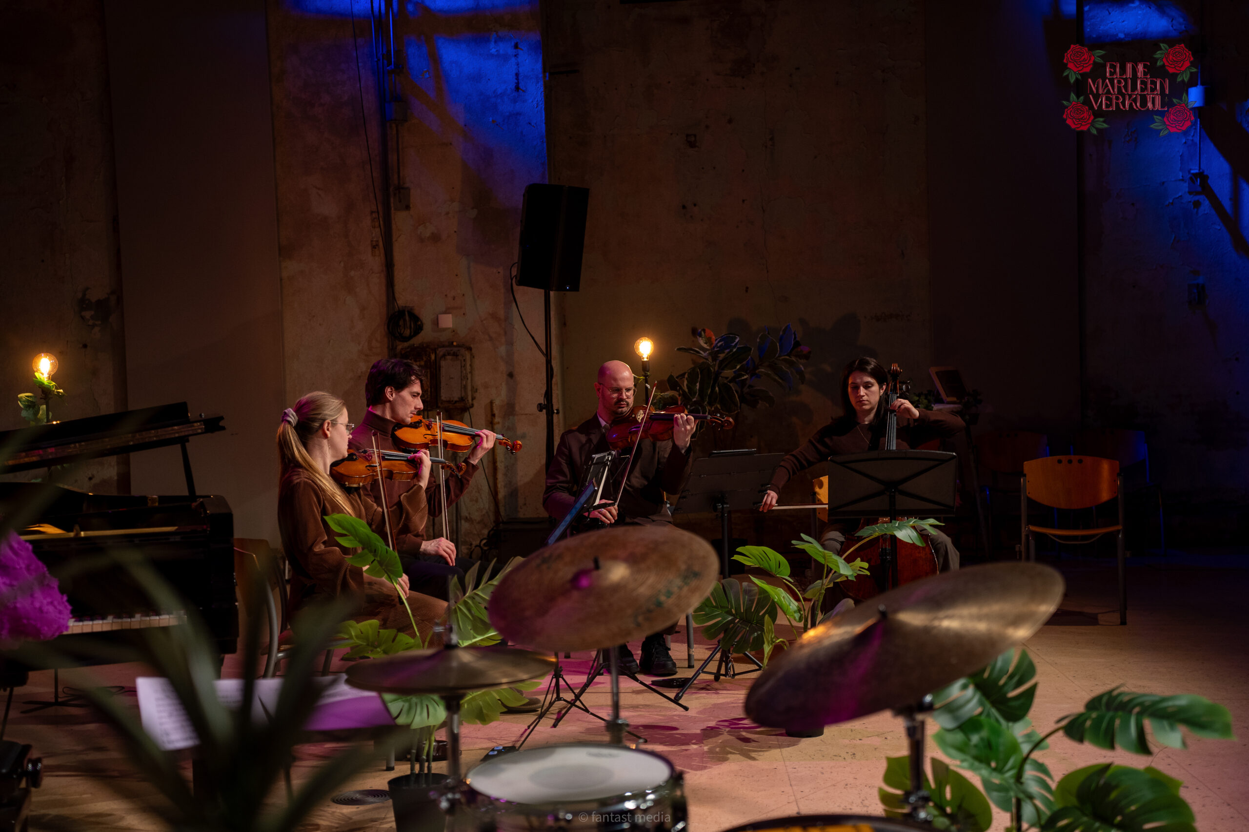 concert fotografie