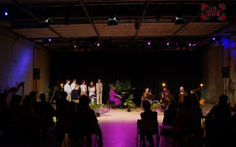 Concert fotografie
